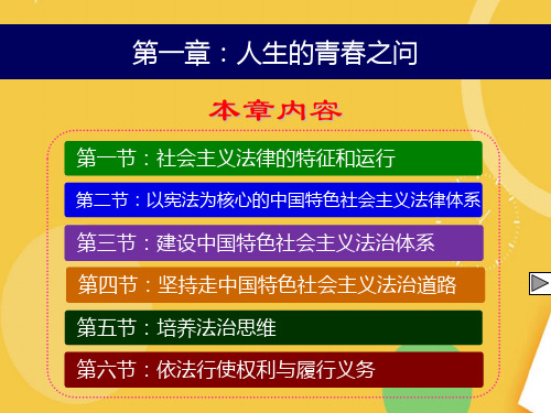 坚持走中国特色社会主义法治道路完整PPT资料