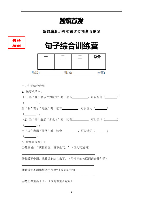 小升初语文句子综合特训含答案 (1)