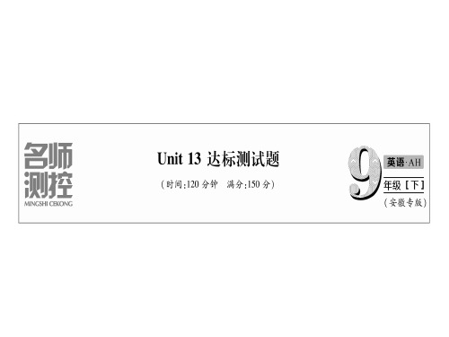 九年级英语安徽专版下册课件：Unit 13 达标测试题 (共30张PPT)