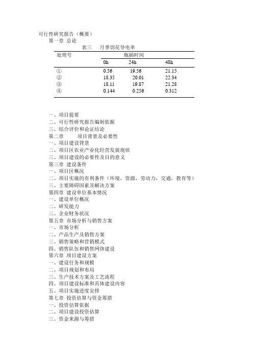 可行性研究报告