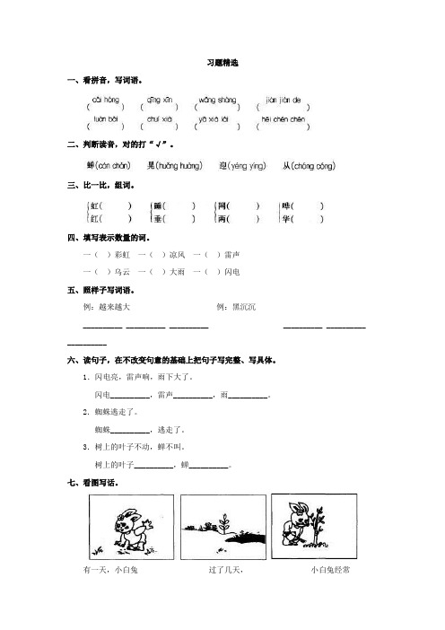 雷雨习题精选及答案