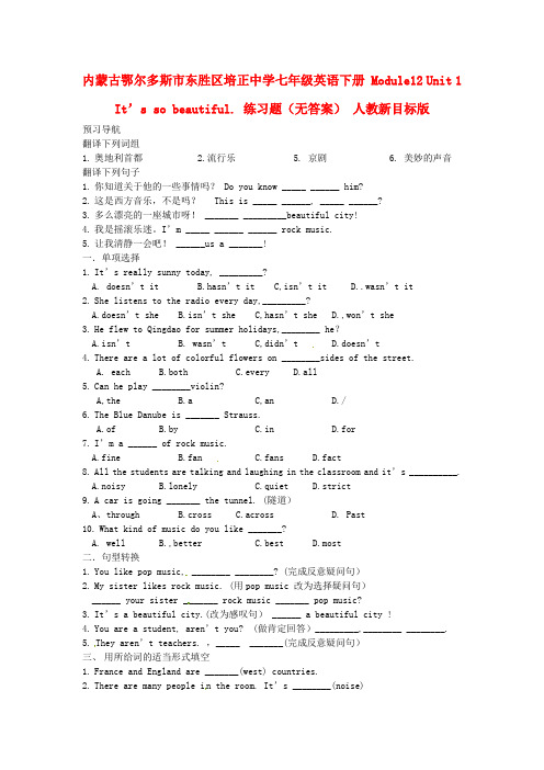 内蒙古鄂尔多斯市东胜区培正中学七年级英语下册 Module12 Unit 1 It’s so beautiful. 练习题(无答案) 人