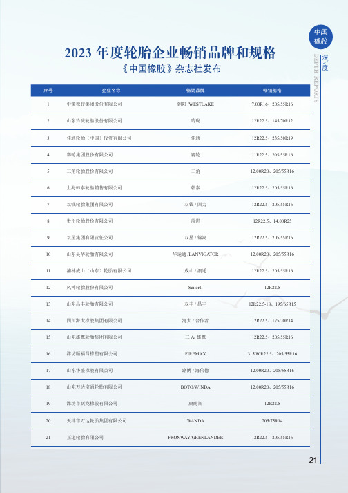 2023_年度轮胎企业畅销品牌和规格