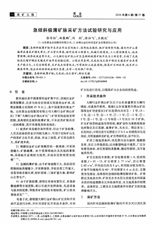 急倾斜极薄矿脉采矿方法试验研究与应用