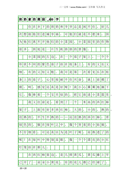 五年级写人作文：奶奶家的菜园_450字_1