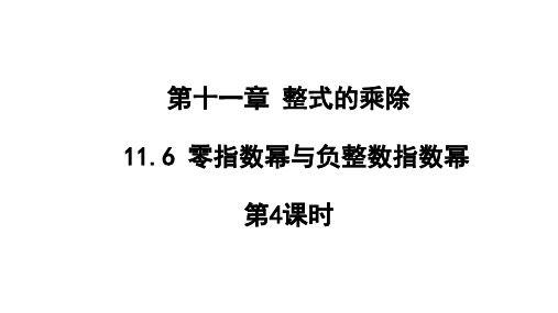 11.6+零指数幂与负整数指数幂+第4课时课件2023-2024学年青岛版七年级数学下册+