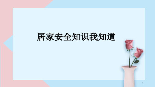 居家安全知识我知道(课件)-小学生主题班会