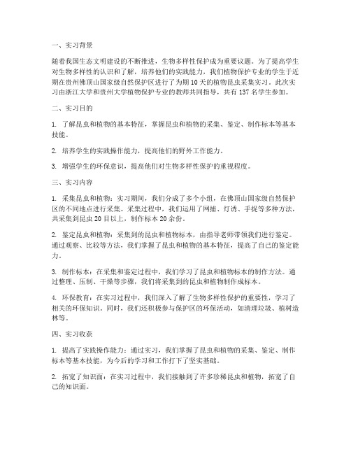 植物昆虫采集实习报告