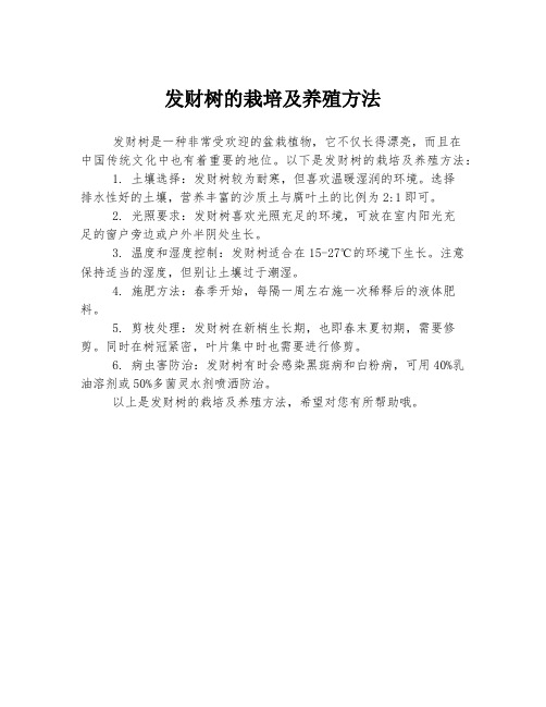 发财树的栽培及养殖方法