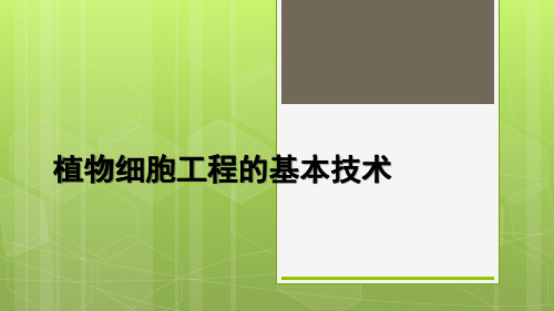 人教版高中生物选修3专题2第1节第1部分植物细胞工程的基本技术课件(共19张PPT)