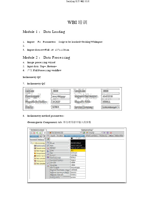 Techlog软件WBI培训