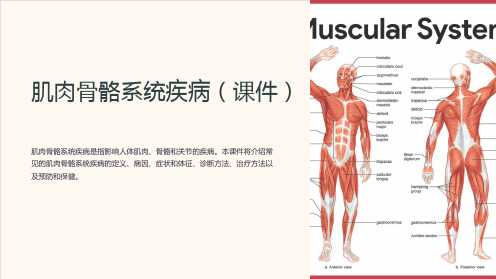 《肌肉骨骼系统疾病(课件)》