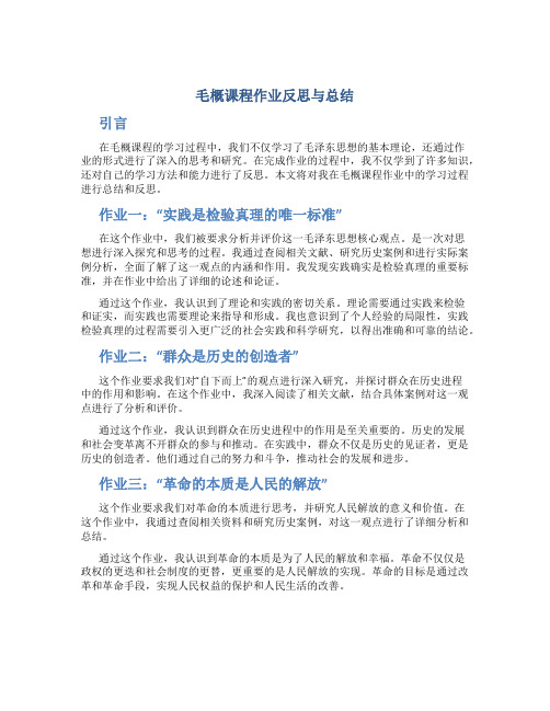 毛概课程作业反思与总结