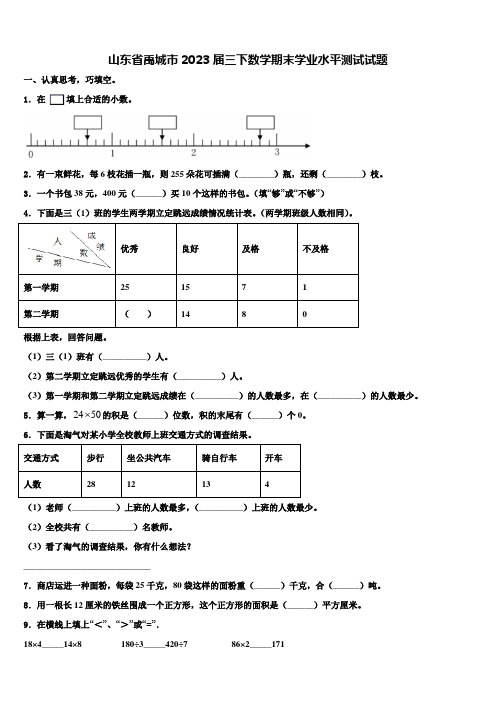 山东省禹城市2023届三下数学期末学业水平测试试题含解析