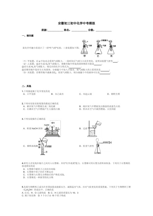 安徽初三初中化学中考模拟带答案解析
