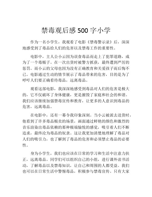 禁毒观后感500字小学