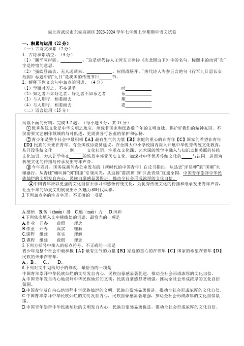 湖北省武汉市东湖高新区2023-2024学年七年级上学期期中语文试卷(解析版)