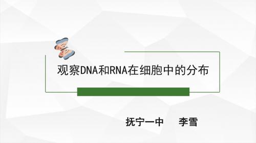 观察DNA和RNA在细胞中的分布说课