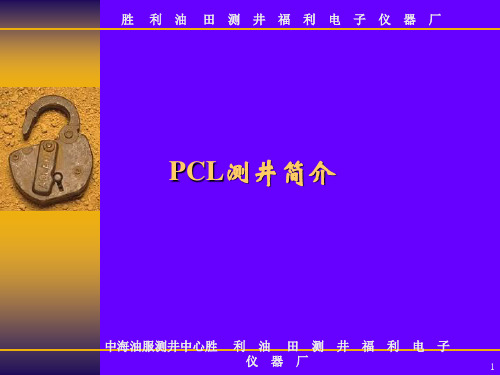 PCL测井简介 (NXPowerLite)