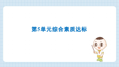 2024年人教版六年级上册数学第5单元综合素质达标试卷及答案