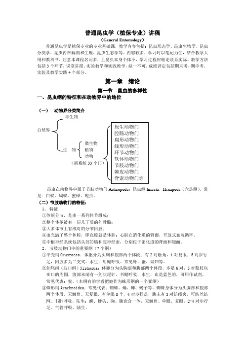 昆虫学讲稿1