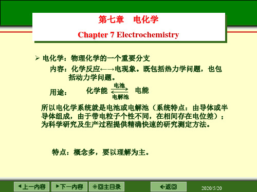 电化学-1电化学基本概念导电机理迁移数电导率讲解