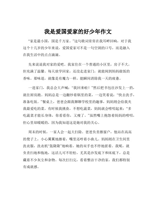 我是爱国爱家的好少年作文