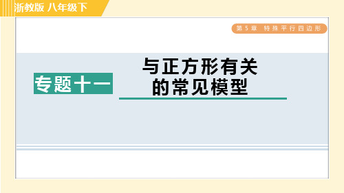 浙教版八年级数学下册第5章专题十一 与正方形有关的常见模型