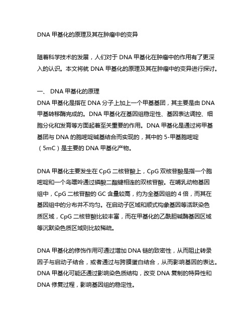 dna甲基化的原理及其在肿瘤中的变异。