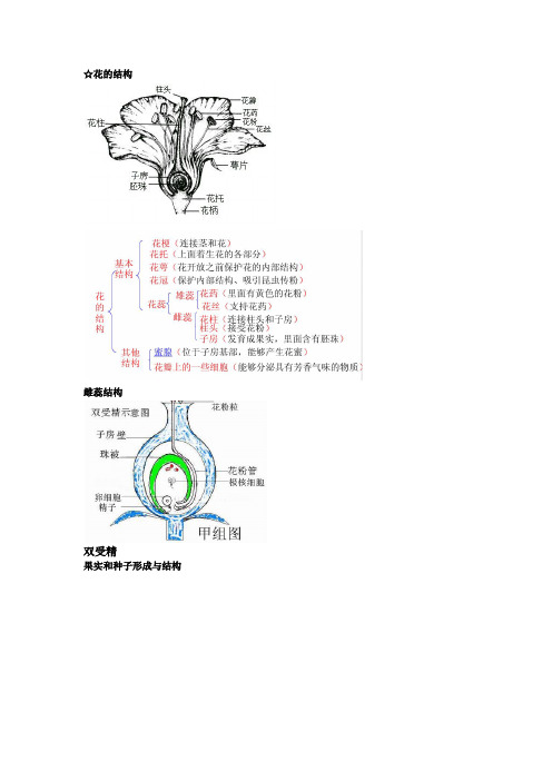 高中生物必修二第一章知识点总结