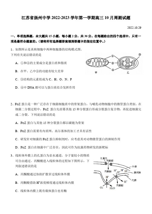 扬州中学2022-2023学年第一学期高三10月周测试生物试题含答案