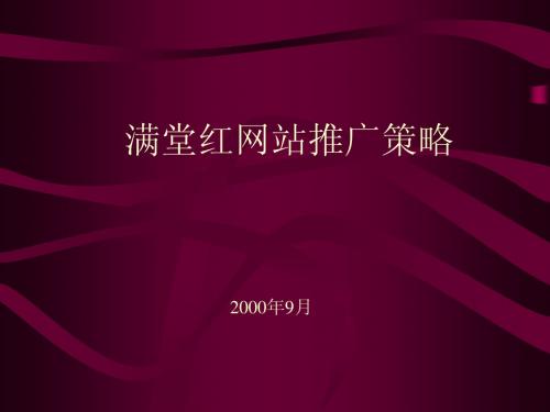 满堂红网站推广策略