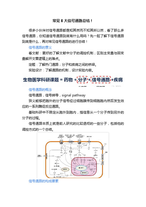 常见8大信号通路总结！