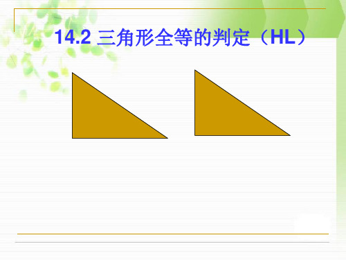 沪科版数学八上课件14.2.4三角形全等的判定