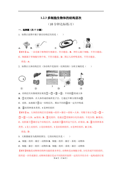 济南版生物七上1.2.3多细胞生物体的结构层次10分钟达标练习(解析版)