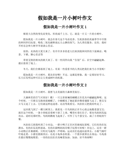 假如我是一片小树叶作文