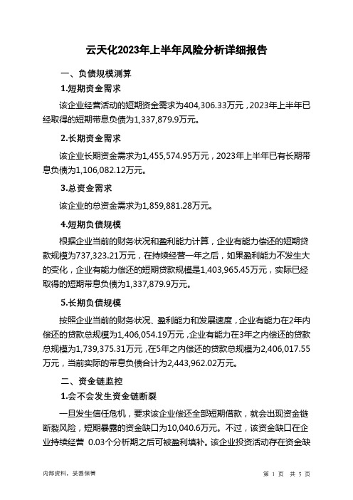 600096云天化2023年上半年财务风险分析详细报告