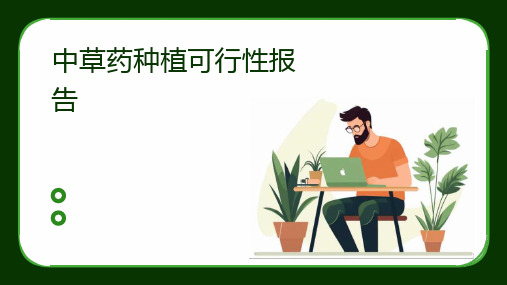 中草药种植可行性报告