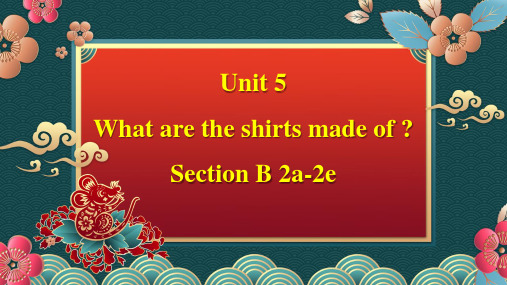 人教版初中英语九年级英语全册Unit 5 Section B 2a-2e