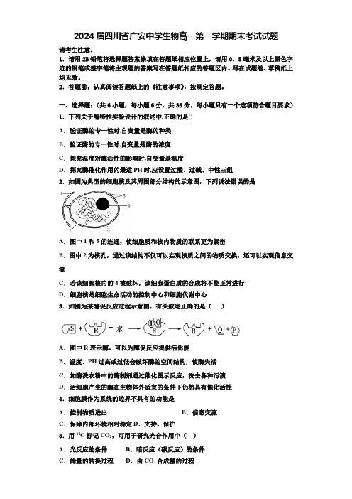 2024届四川省广安中学生物高一第一学期期末考试试题含解析