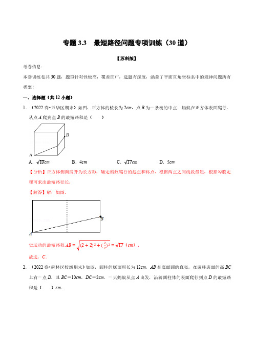 专题3.3 最短路径问题专项训练(30道)(举一反三)(苏科版)(解析版)