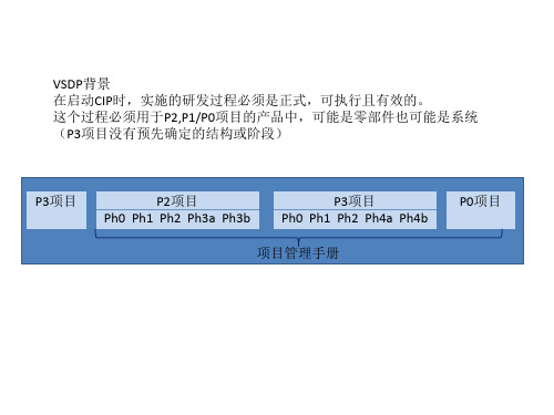 Valeo项目管理手册简要