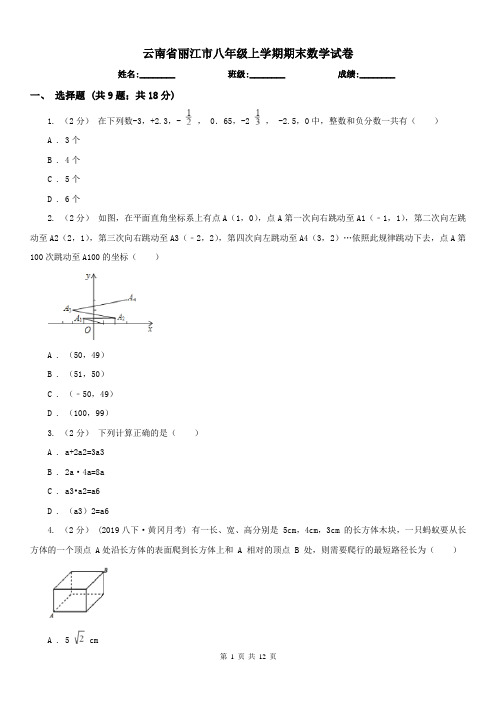 云南省丽江市八年级上学期期末数学试卷