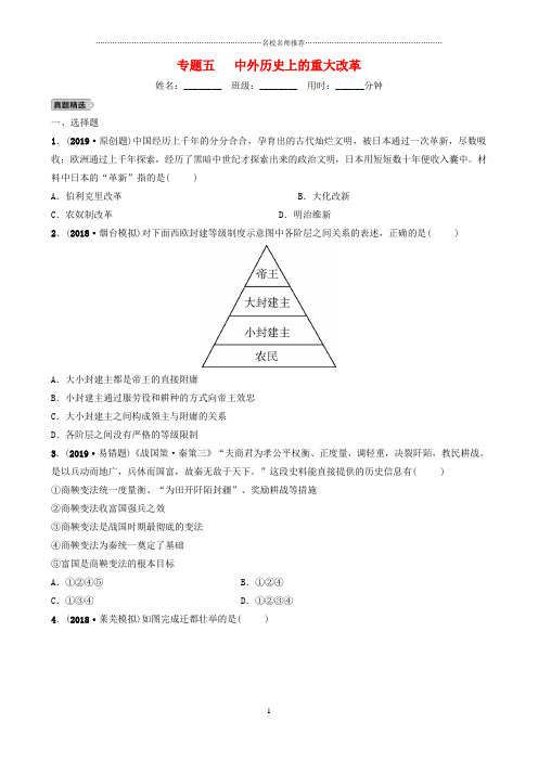 山东省中考历史专题复习专题五中外历史上的重大改革练习五四制精编版