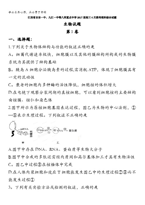 江西省吉安一中、九江一中等八所重点中学2017届高三4月联考理科综合试题含答案生物试题