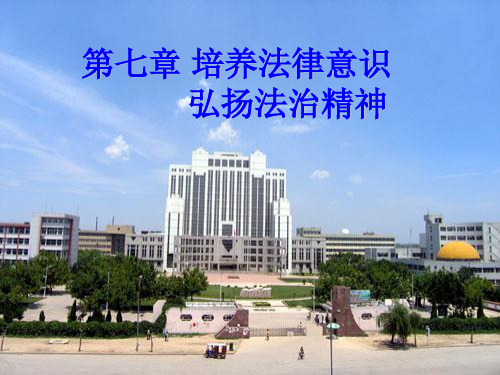 培养法律意识.ppt