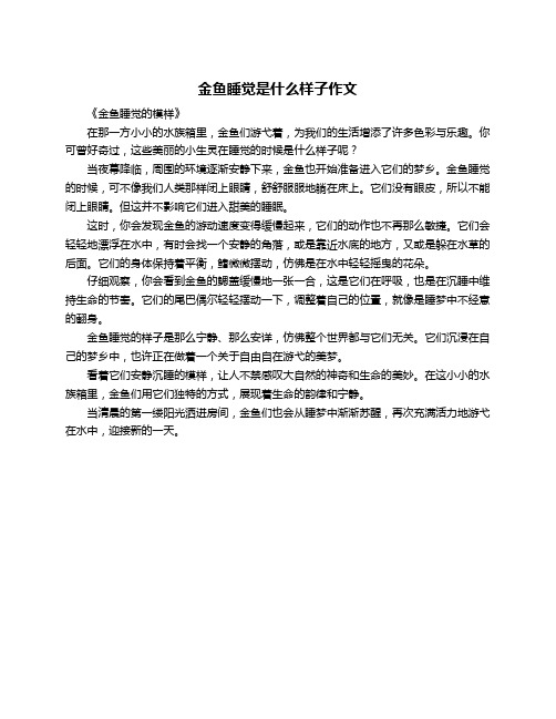 金鱼睡觉是什么样子作文