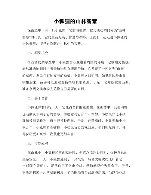 小狐狸的山林智慧