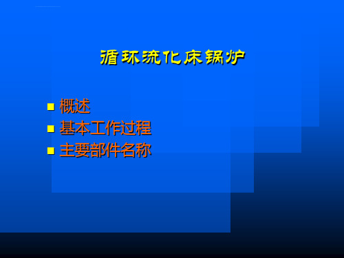 循环流化床锅炉原理ppt课件