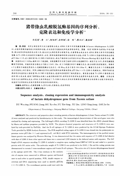 猪带绦虫乳酸脱氢酶基因的序列分析、克隆表达和免疫学分析